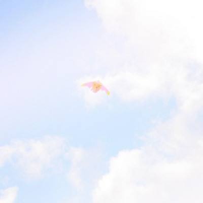 曙光英雄体验版本下载